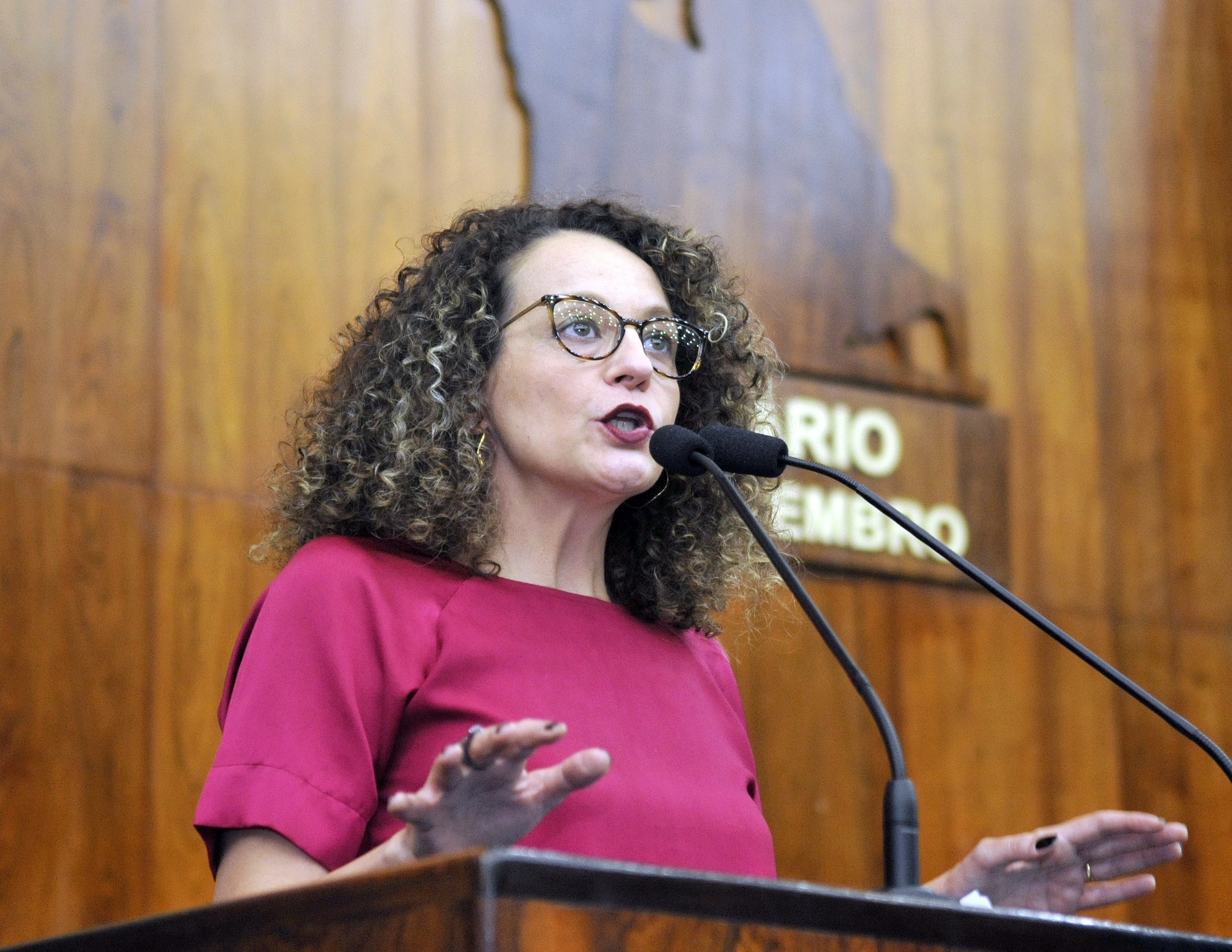 Luciana Genro questiona Brigada Militar sobre
