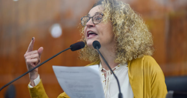 “Não é momento para reajuste nas cotas parlamentares”, diz Luciana Genro