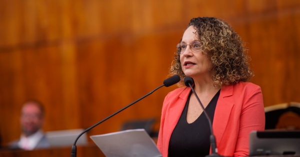 Luciana Genro protocola projeto de lei que cede espaços de escolas estaduais para cursos pré-universitários populares