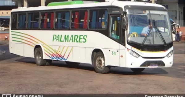Novas denúncias sobre o transporte público de Pinhal: Luciana Genro questiona novamente o DAER