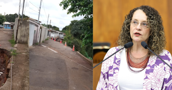 Luciana Genro questiona Prefeitura de Passo Fundo sobre descaso com atingidos por deslizamentos