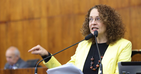 Luciana Genro oficia governos sobre quantidade de imóveis públicos vazios