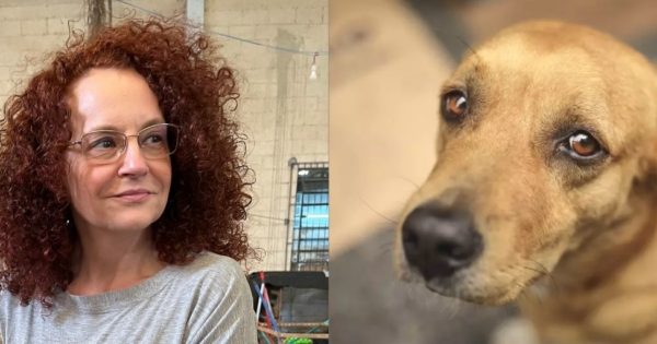 “O amor não tira férias”: Deputada Luciana Genro propõe “Dezembro Verde” para conscientizar sobre abandono de animais