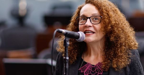 Luciana Genro dedica emendas para saúde, educação, proteção a mulheres, animais, diversidade e projetos sociais em todo o RS