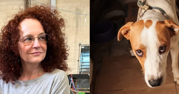 Luciana Genro questiona prefeituras gaúchas sobre políticas públicas voltadas à causa animal