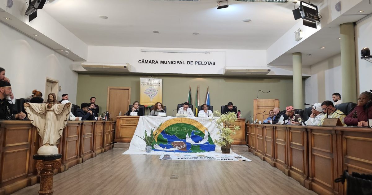 Audiência ocorreu na Câmara de Vereadores de Pelotas.