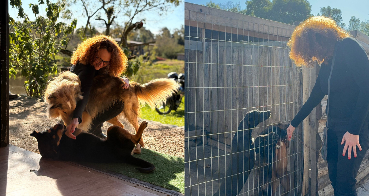 O abrigo conta com cerca de 70 animais atualmente.