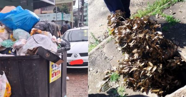 Luciana Genro questiona ausência de serviços de limpeza urbana e manutenção viária em Cachoeirinha