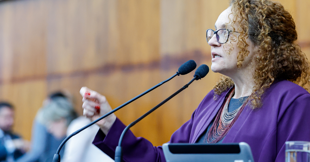 Foto: Fernando Gomes / ALRS