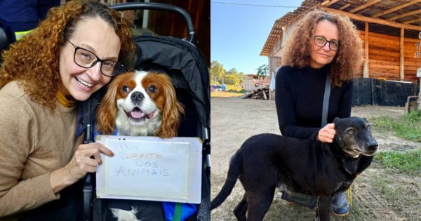 Crueldade contra animais comunitários leva Luciana Genro a protocolar nova lei no RS