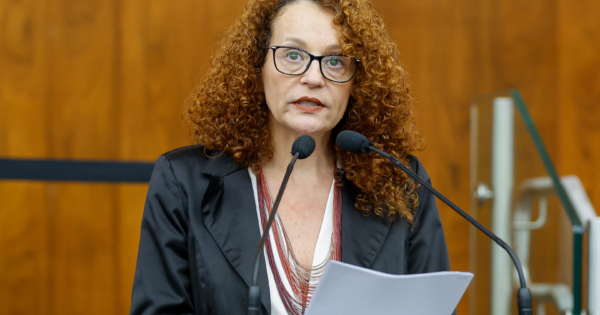 Projeto de Luciana Genro que cria benefício para mulheres vítimas de violência deve ser votado em março