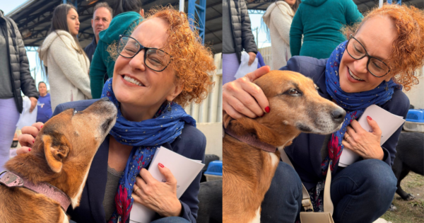 Um marco para a causa animal: Projeto Sin Patinhas ultrapassa mil castrações com apoio de Luciana Genro e Fernanda Melchionna