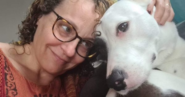 Em defesa dos animais: Luciana Genro lança cartilha e apoia projeto destinado à proteção