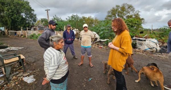 Luciana Genro cobra providências para resgate de animais abandonados na Vila Dique